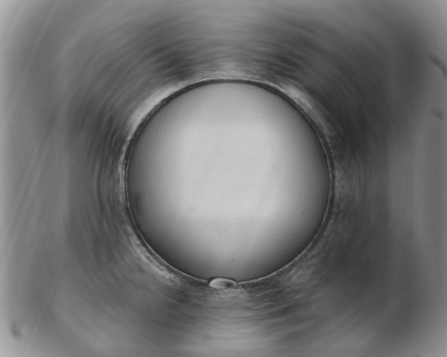 X0000103171238200809051714