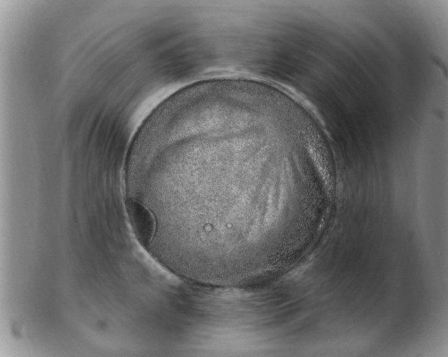 X0000103171239200809051714