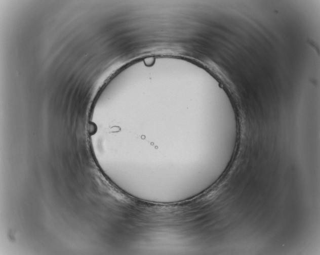 X0000103171240200809051714