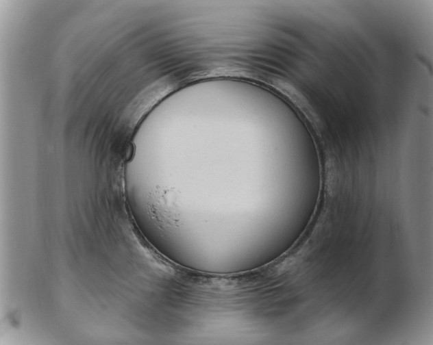 X0000103171241200809051714