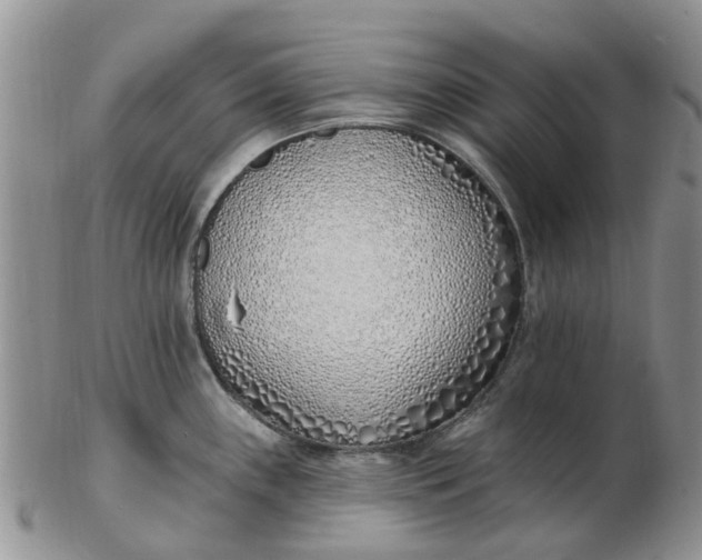 X0000103171243200809051715