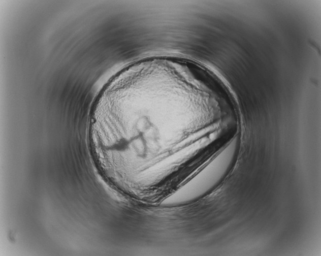 X0000103171245200809051715