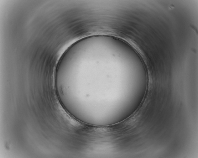 X0000103171246200809051715