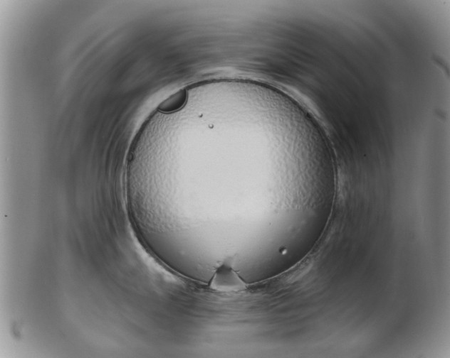 X0000103171247200809051715