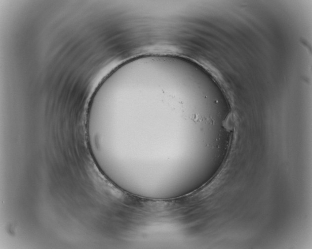 X0000103171248200809051715