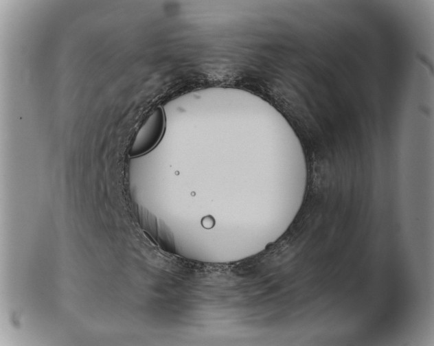 X0000103171249200809051714