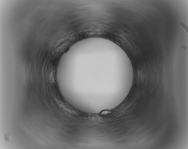 X0000103171250200809051714