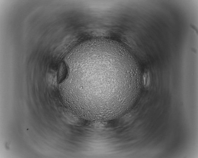 X0000103171251200809051714