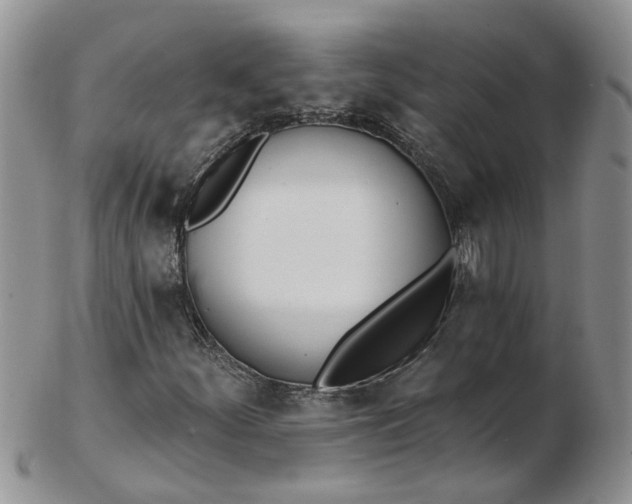 X0000103171252200809051714