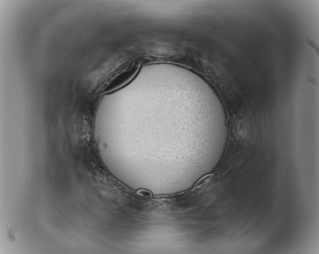 X0000103171253200809051714