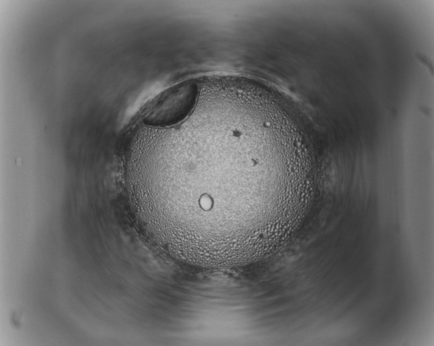 X0000103171255200809051714