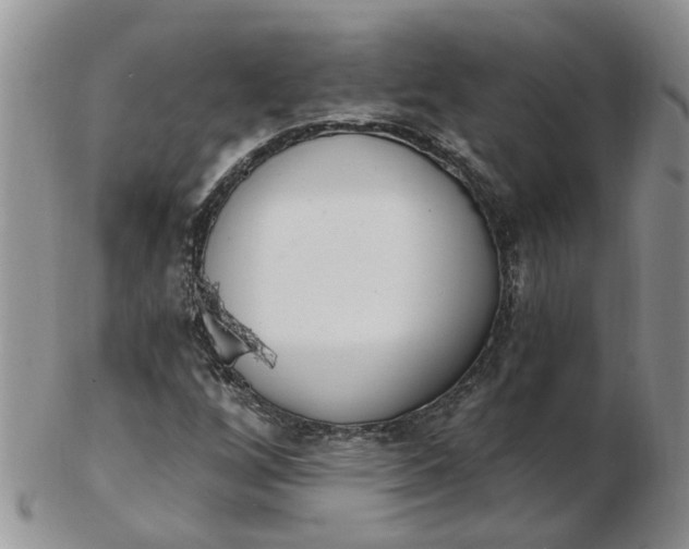 X0000103171256200809051714