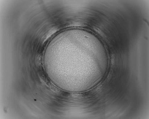 X0000103171258200809051714