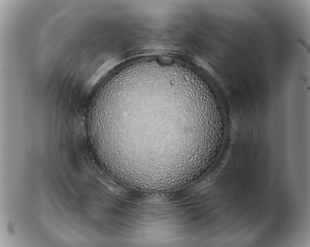 X0000103171259200809051714