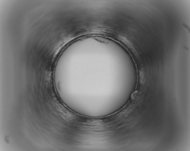 X0000103171260200809051714