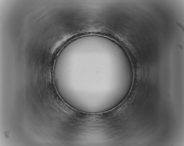 X0000103171262200809051714