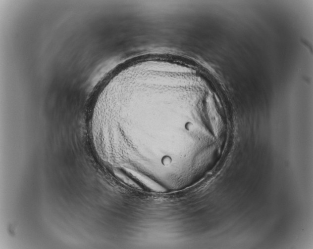 X0000103171263200809051714