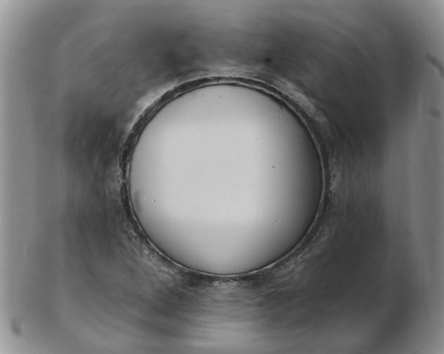 X0000103171264200809051714