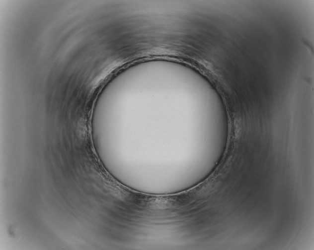 X0000103171266200809051714