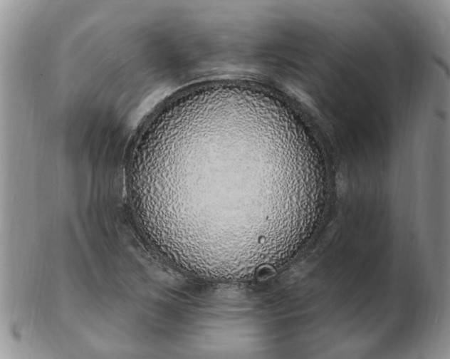 X0000103171267200809051714