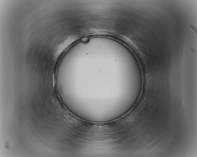 X0000103171269200809051714