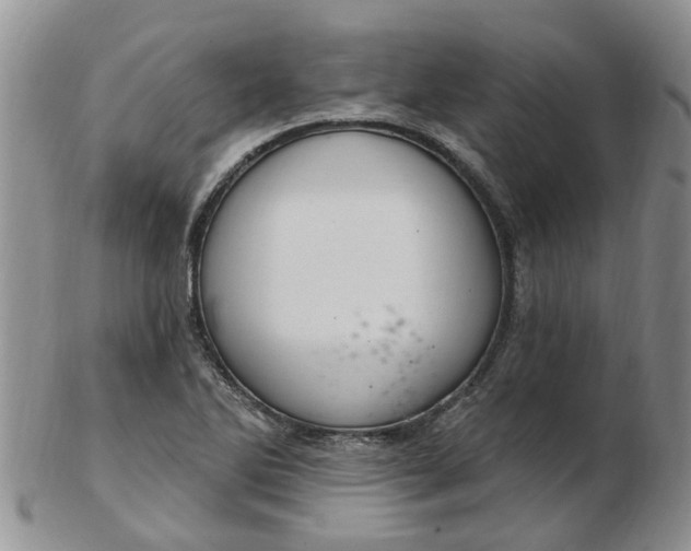 X0000103171270200809051714