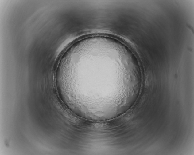 X0000103171271200809051714