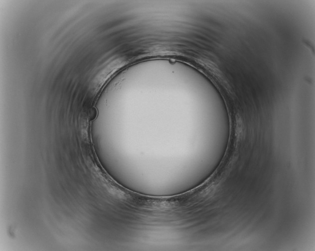 X0000103171273200809051714