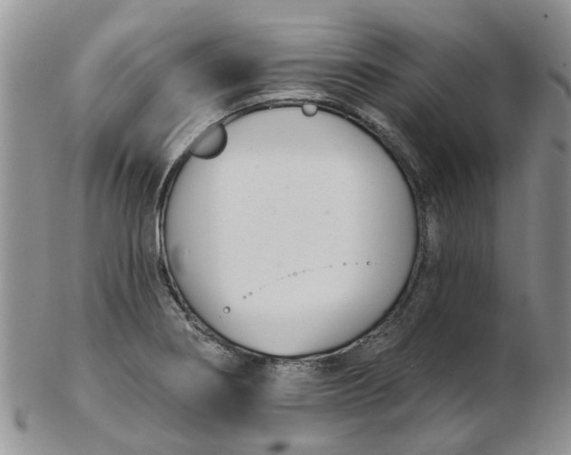 X0000103171274200809051714