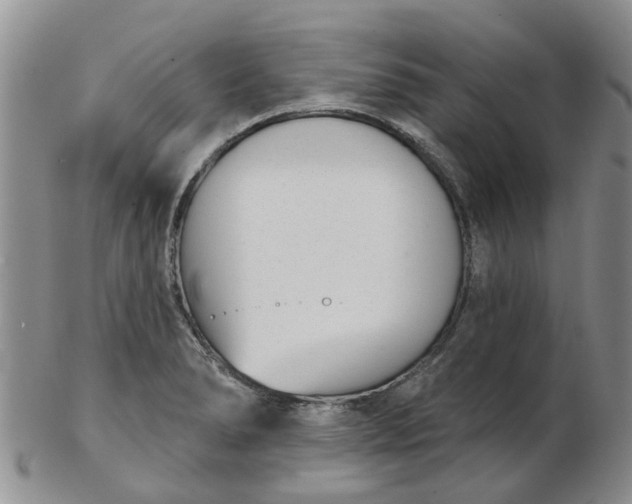 X0000103171278200809051714