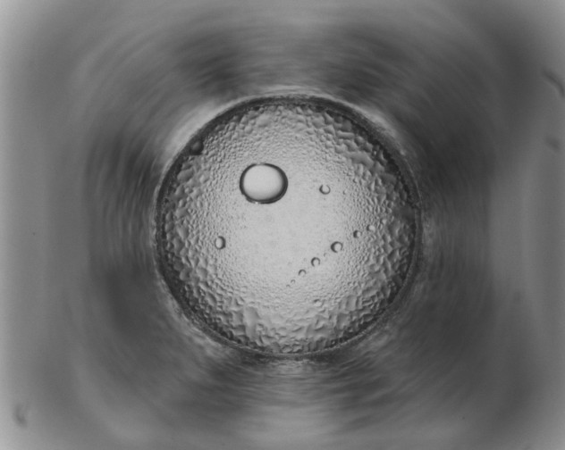 X0000103171279200809051714