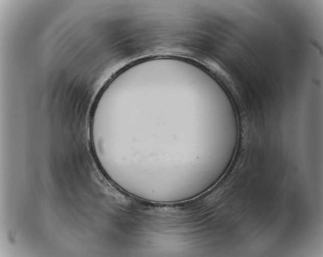 X0000103171280200809051713