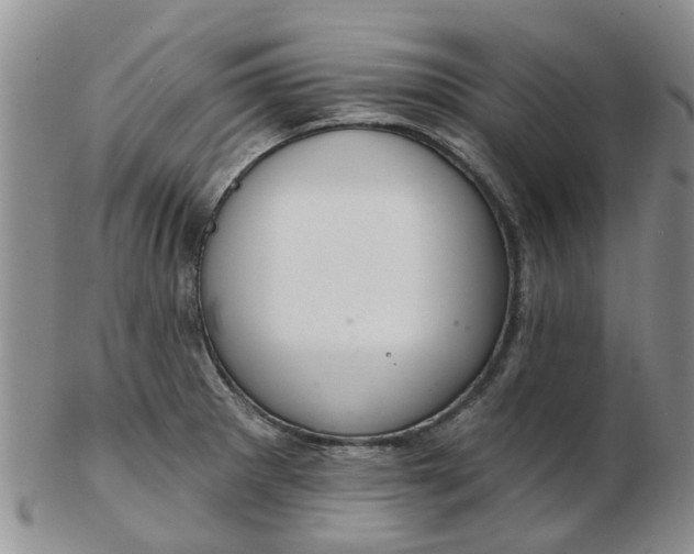 X0000103171281200809051713