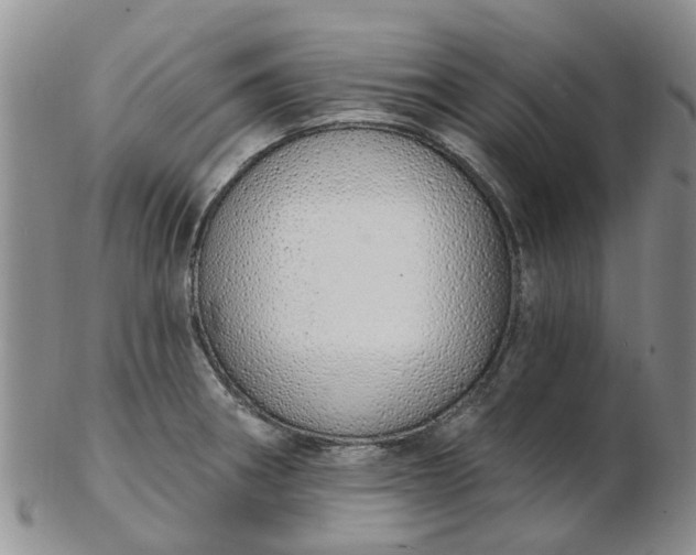 X0000103171282200809051713