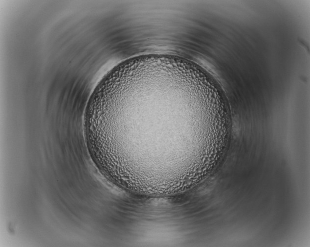 X0000103171283200809051713