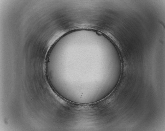 X0000103171285200809051713