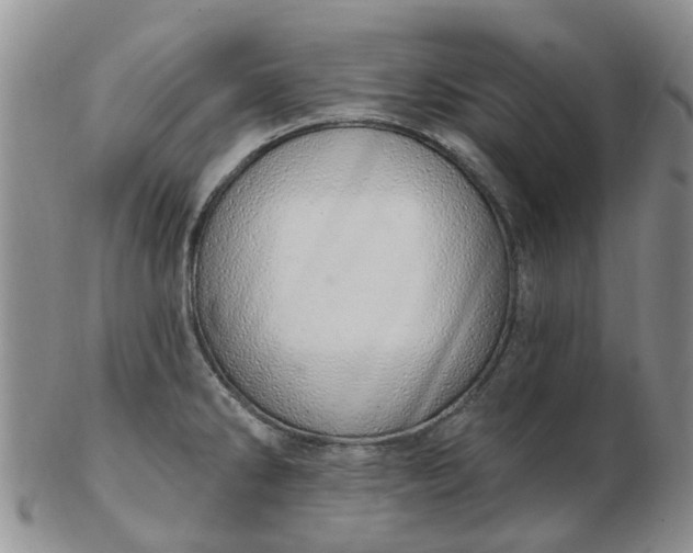 X0000103171286200809051713