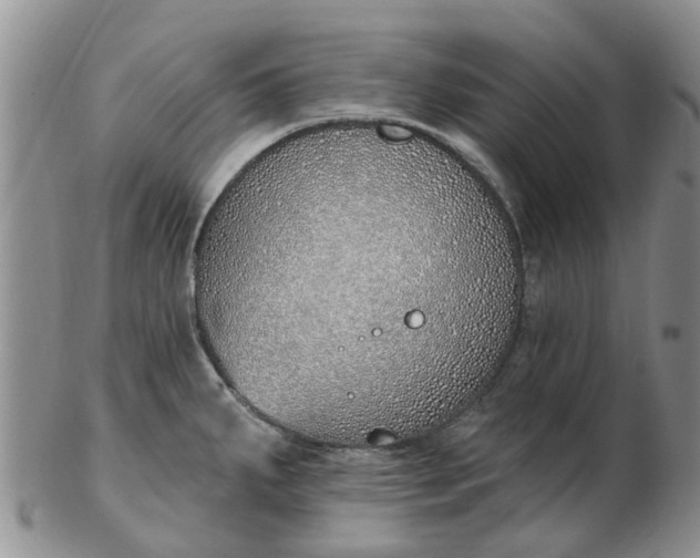 X0000103171287200809051713