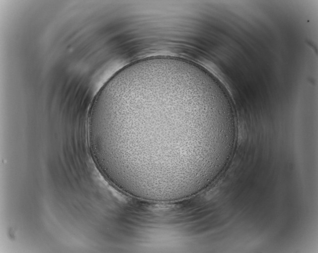 X0000103171290200809051713