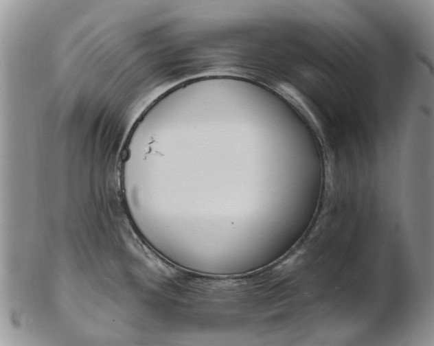 X0000103171292200809051713