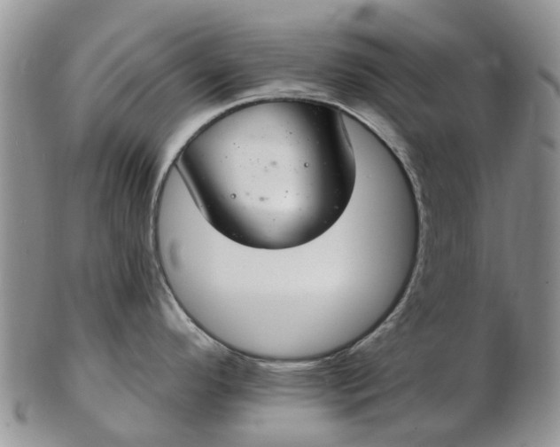 X0000103171296200809051713