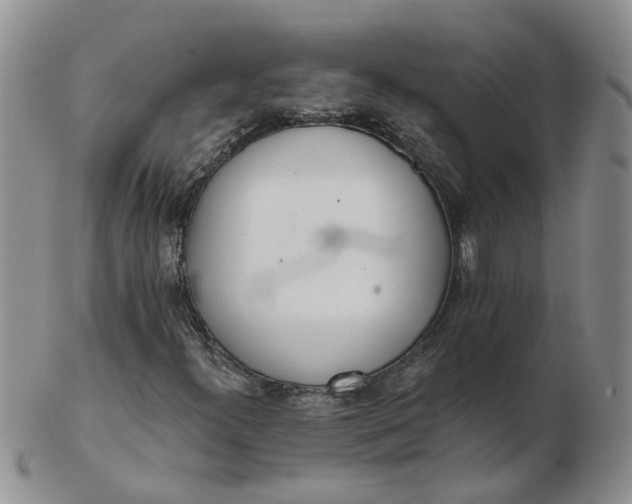 X0000103171300200809051713