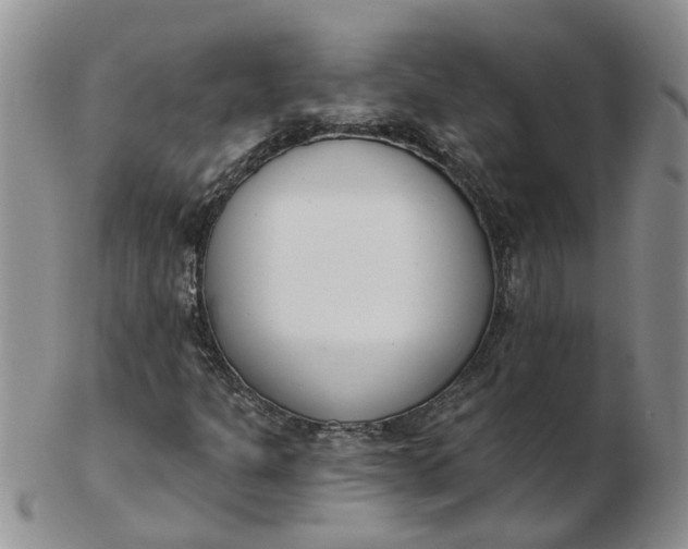 X0000103171301200809051713