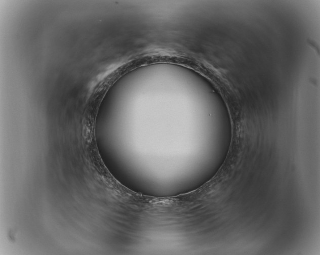 X0000103171303200809051713