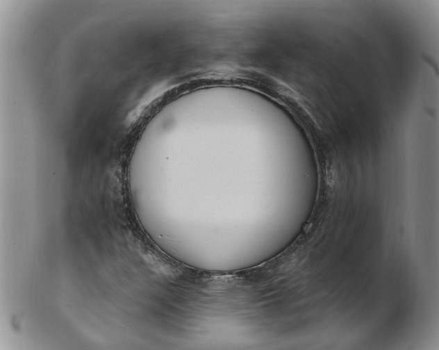 X0000103171304200809051713