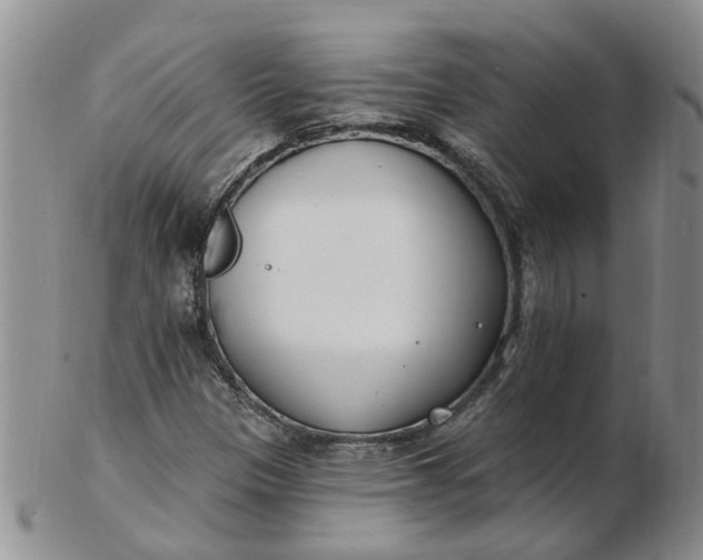 X0000103171305200809051713