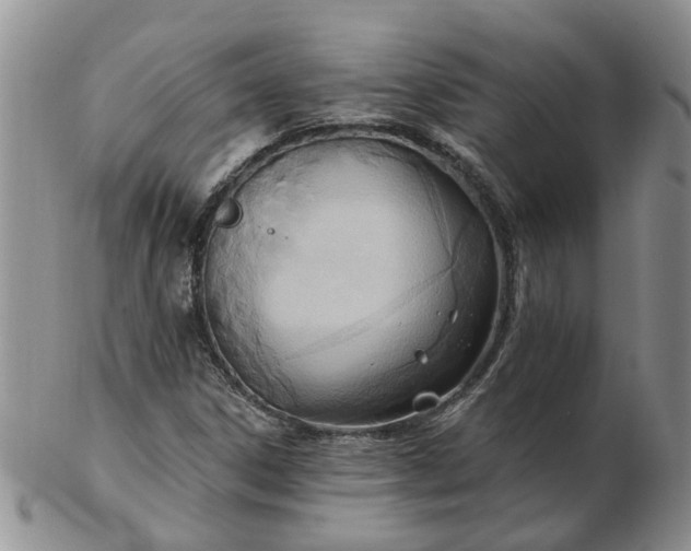 X0000103171306200809051713