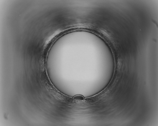 X0000103171310200809051713