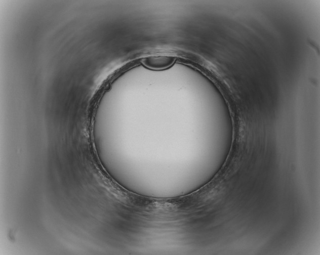 X0000103171312200809051713