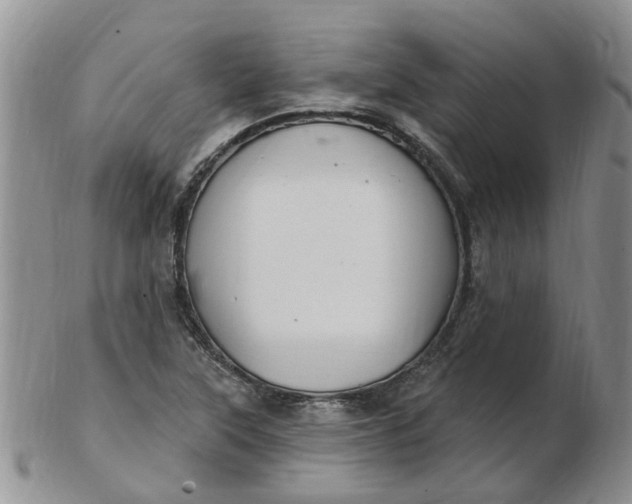 X0000103171315200809051713